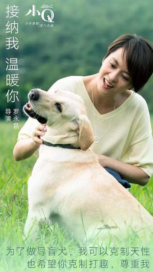 购买假卢森堡
